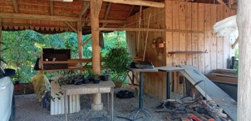 Tranquilidade, espaço e contato com a natureza