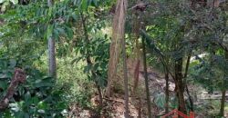 Casa Mista na Rua João Aurich