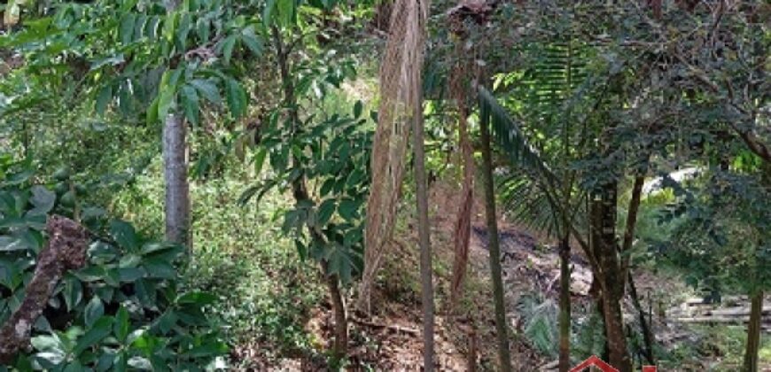 Casa Mista na Rua João Aurich