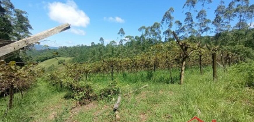 Sítio Encantador em Ibirama! 🏡