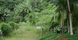 🌿🏡 Oportunidade Exclusiva para Investidores em Ibirama!