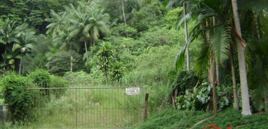 🌿🏡 Oportunidade Exclusiva para Investidores em Ibirama!