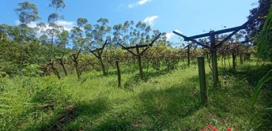 Sítio Encantador em Ibirama! 🏡