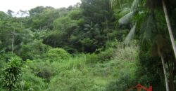 🌿🏡 Oportunidade Exclusiva para Investidores em Ibirama!