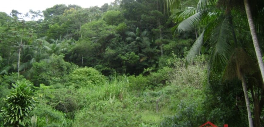 🌿🏡 Oportunidade Exclusiva para Investidores em Ibirama!