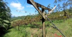 Sítio Encantador em Ibirama! 🏡