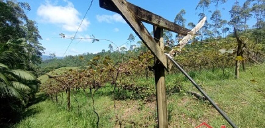 Sítio Encantador em Ibirama! 🏡