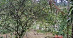 🏡✨ Casa de Alvenaria com Amplo Terreno – Excelente Oportunidade em Ibirama