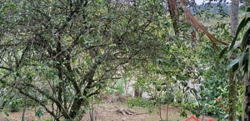 🏡✨ Casa de Alvenaria com Amplo Terreno – Excelente Oportunidade em Ibirama