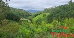 Sítio Encantador em Ibirama! 🏡