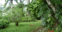 🌿🏡 Oportunidade Exclusiva para Investidores em Ibirama!