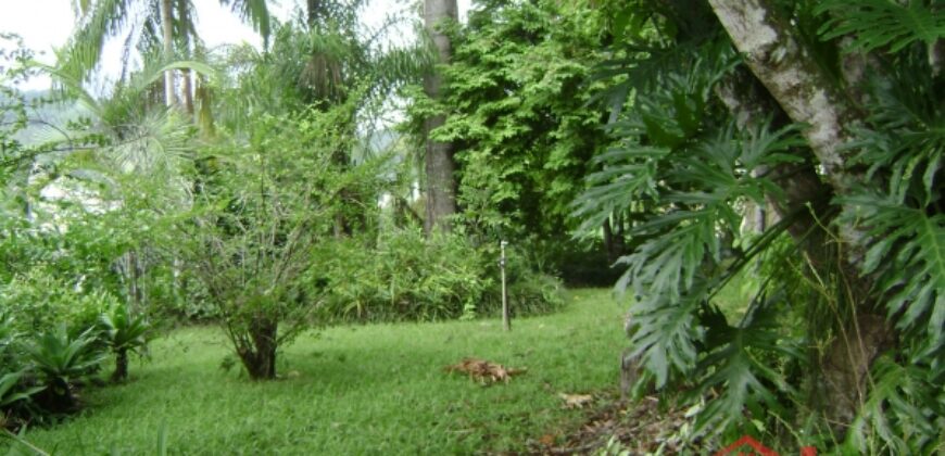 🌿🏡 Oportunidade Exclusiva para Investidores em Ibirama!