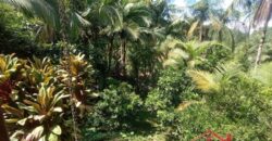 Sítio Encantador em Ibirama! 🏡