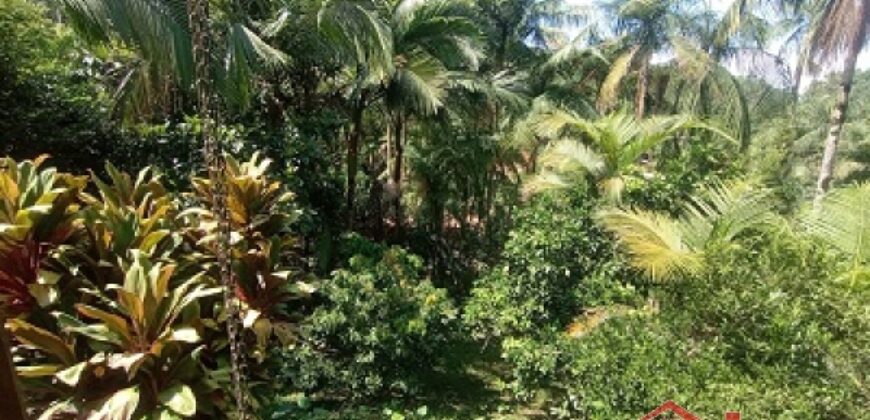 Sítio Encantador em Ibirama! 🏡