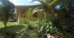 Sítio Encantador em Ibirama! 🏡