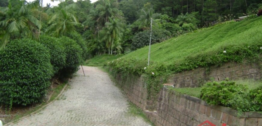 🌿🏡 Oportunidade Exclusiva para Investidores em Ibirama!