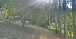 Tranquilidade, espaço e contato com a natureza