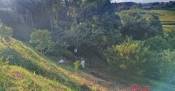 Tranquilidade, espaço e contato com a natureza