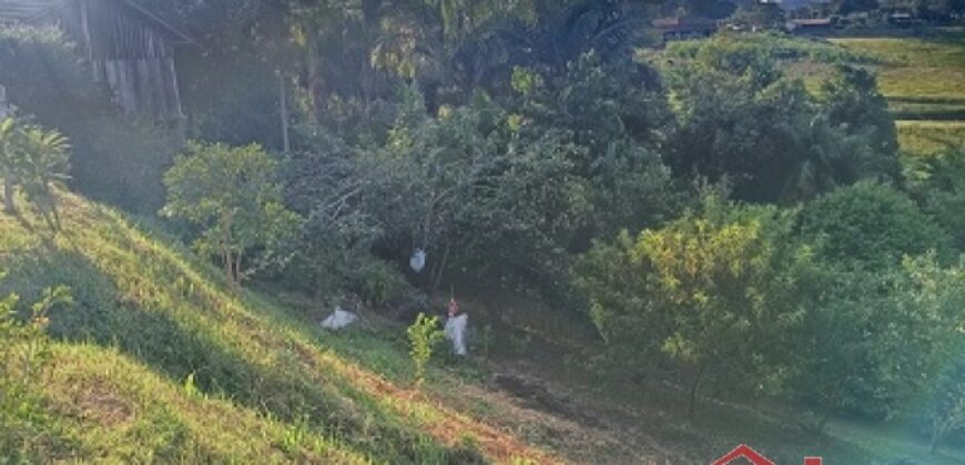 Tranquilidade, espaço e contato com a natureza