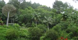 🌿🏡 Oportunidade Exclusiva para Investidores em Ibirama!