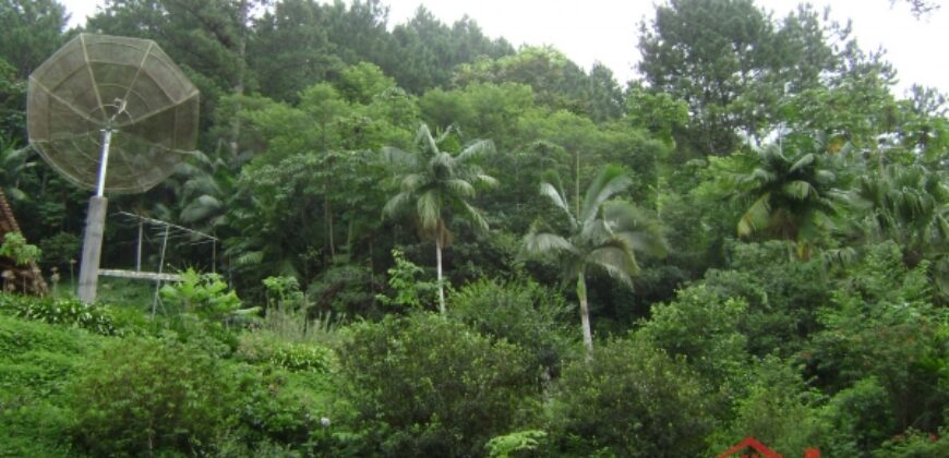 🌿🏡 Oportunidade Exclusiva para Investidores em Ibirama!