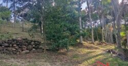 Tranquilidade, espaço e contato com a natureza