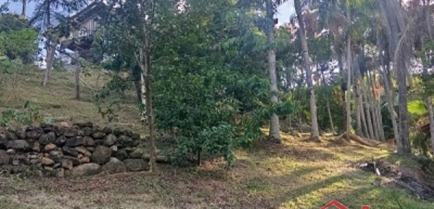 Tranquilidade, espaço e contato com a natureza