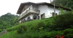 🌿🏡 Oportunidade Exclusiva para Investidores em Ibirama!