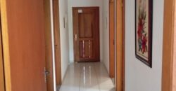 🏡✨ Casa de Alvenaria com Amplo Terreno – Excelente Oportunidade em Ibirama