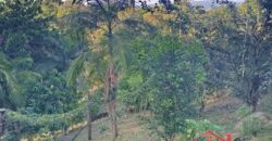 Tranquilidade, espaço e contato com a natureza