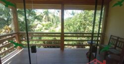 Sítio Encantador em Ibirama! 🏡