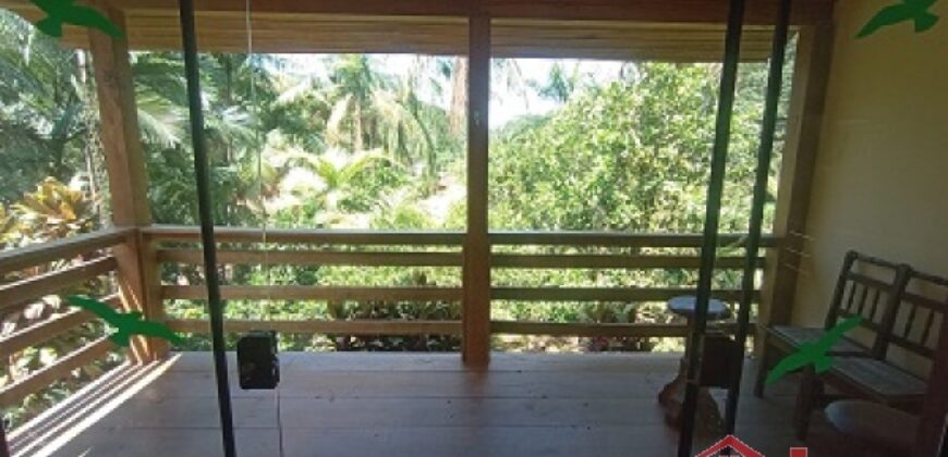 Sítio Encantador em Ibirama! 🏡