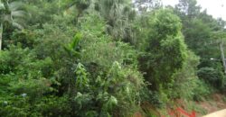 🌿🏡 Oportunidade Exclusiva para Investidores em Ibirama!