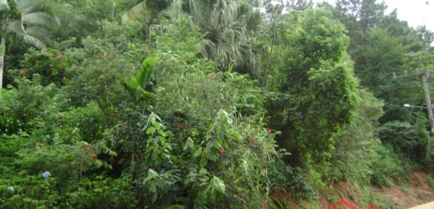 🌿🏡 Oportunidade Exclusiva para Investidores em Ibirama!