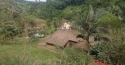 Seu refúgio no campo espera por você!