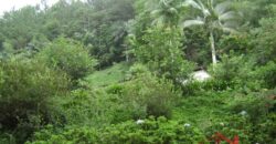 🌿🏡 Oportunidade Exclusiva para Investidores em Ibirama!