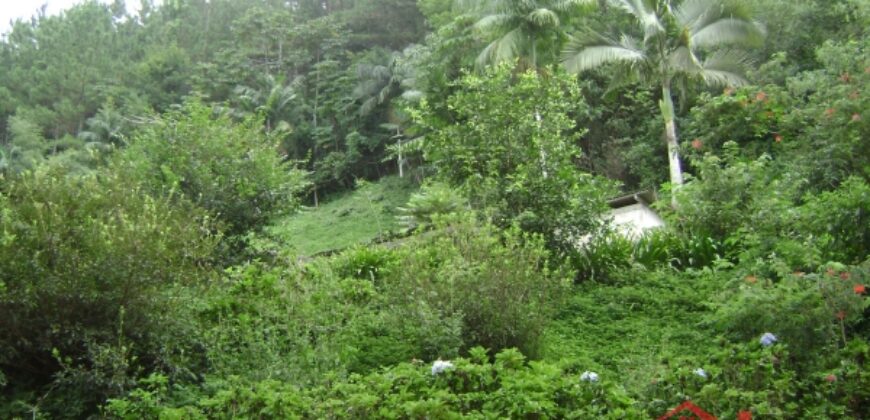 🌿🏡 Oportunidade Exclusiva para Investidores em Ibirama!