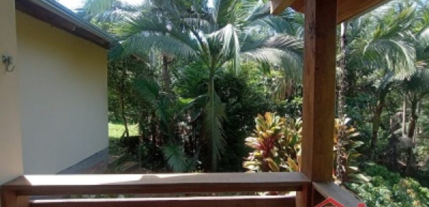 Sítio Encantador em Ibirama! 🏡