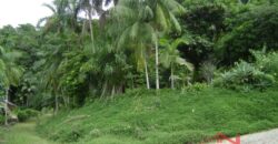 🌿🏡 Oportunidade Exclusiva para Investidores em Ibirama!