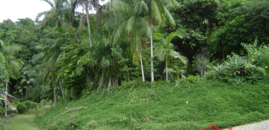 🌿🏡 Oportunidade Exclusiva para Investidores em Ibirama!