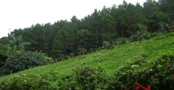 🌿🏡 Oportunidade Exclusiva para Investidores em Ibirama!