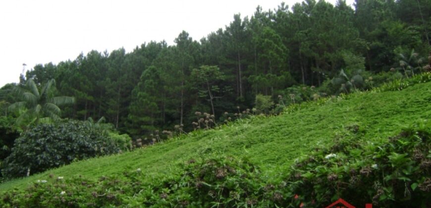 🌿🏡 Oportunidade Exclusiva para Investidores em Ibirama!