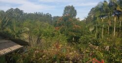 ✨ Encante-se com este imóvel completo em meio à natureza!