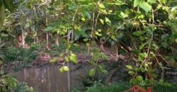 ✨ Encante-se com este imóvel completo em meio à natureza!