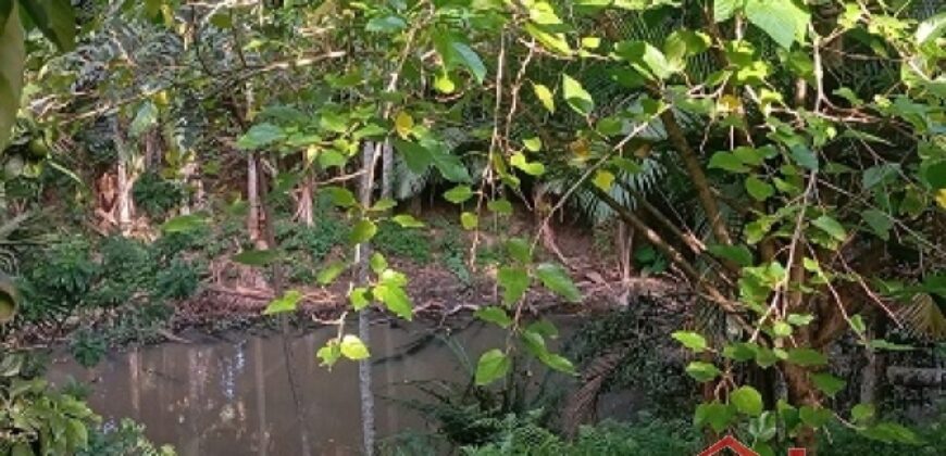 ✨ Encante-se com este imóvel completo em meio à natureza!