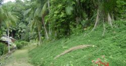 🌿🏡 Oportunidade Exclusiva para Investidores em Ibirama!