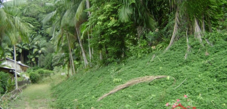 🌿🏡 Oportunidade Exclusiva para Investidores em Ibirama!