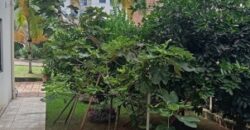 Oportunidade Imperdível – Casa Próxima à UDESC e IFC