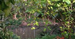 ✨ Encante-se com este imóvel completo em meio à natureza!