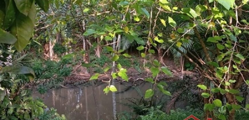 ✨ Encante-se com este imóvel completo em meio à natureza!